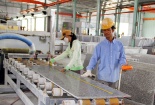 Ninh Thuận: Tạo bước chuyển biến về NSCL sản phẩm hàng hoá chủ lực